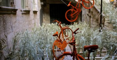 Pros and Cons of BiCing