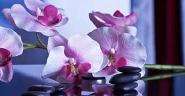 Beauty guide: Wellness and beauty salons in Barcelona