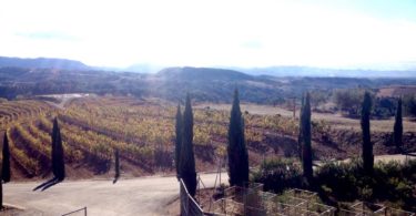 Torres Priorat Winery
