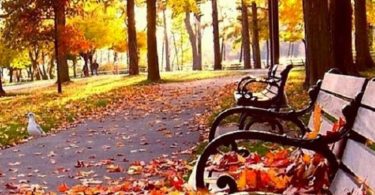 Things to do in autumn in Barcelona