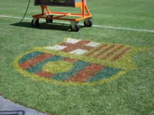 Camp Nou grass