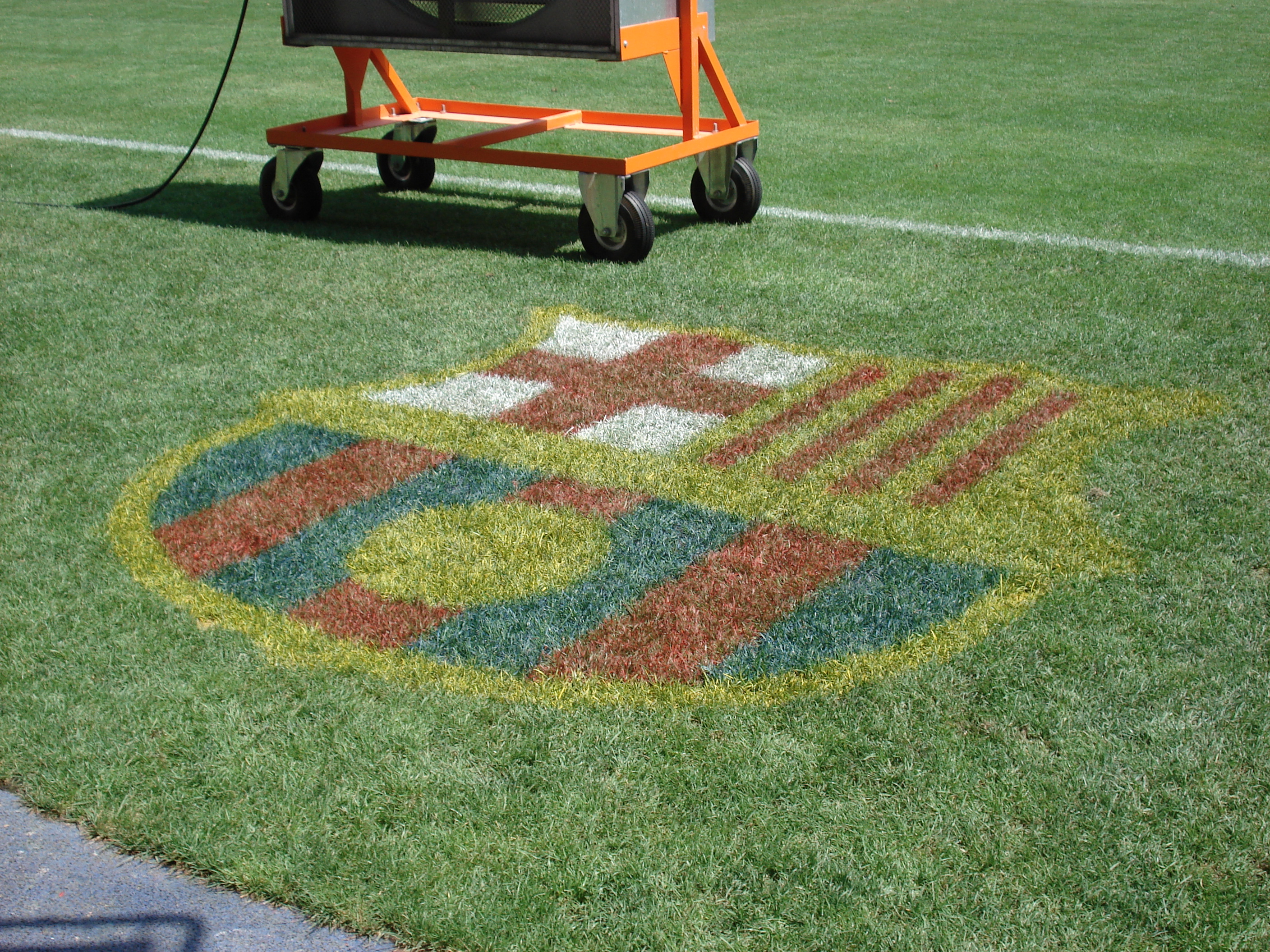 grass in camp nou