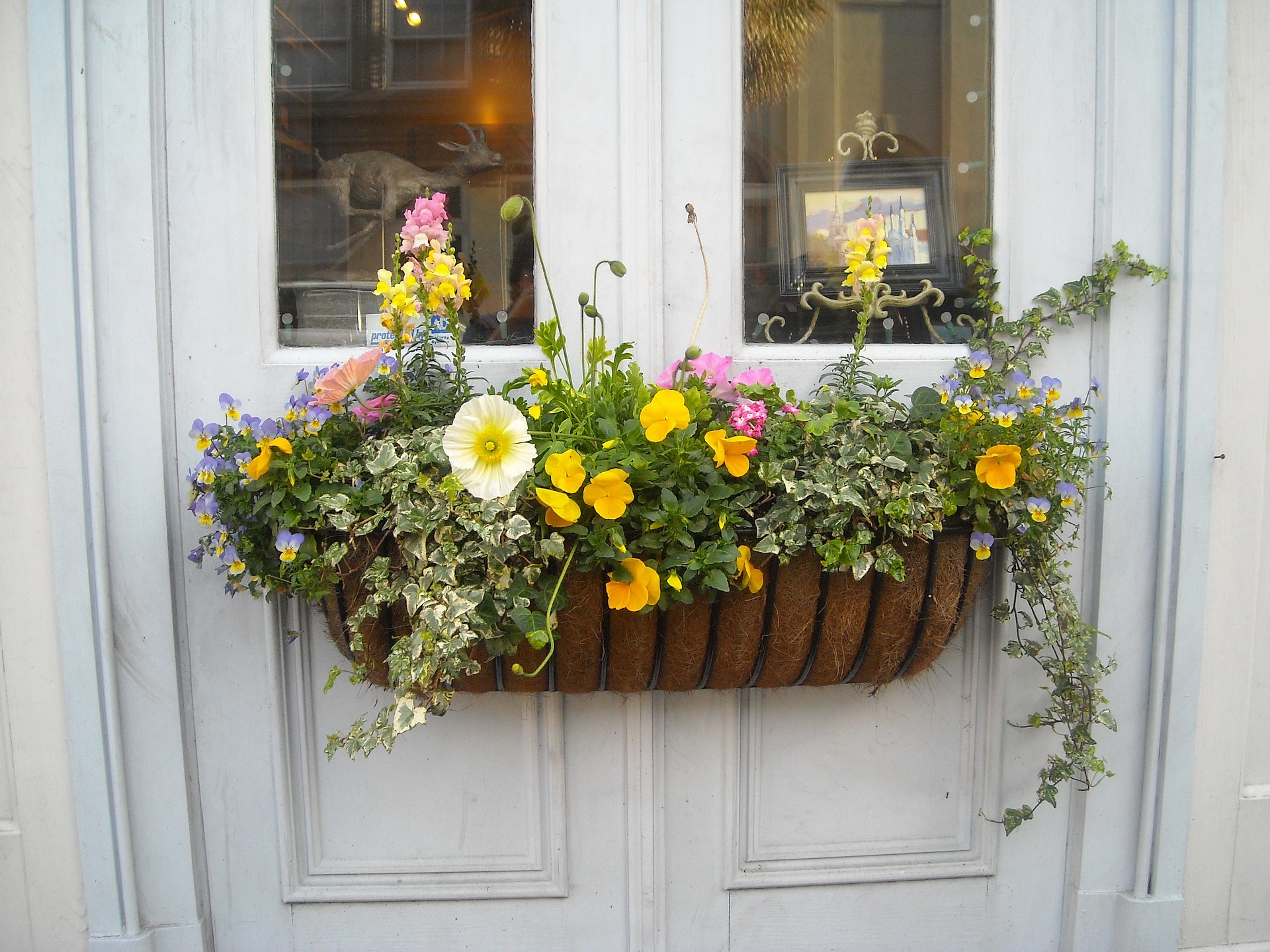 window-box