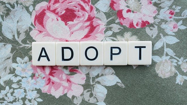 scrabble letters adopt