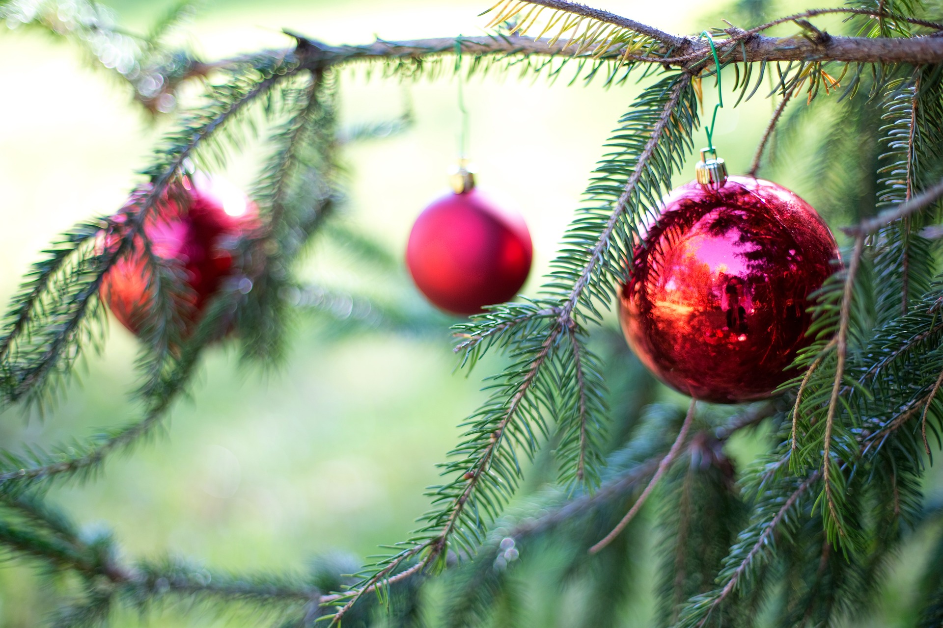 red balls in christmas tree