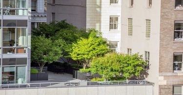 garden on large balcony