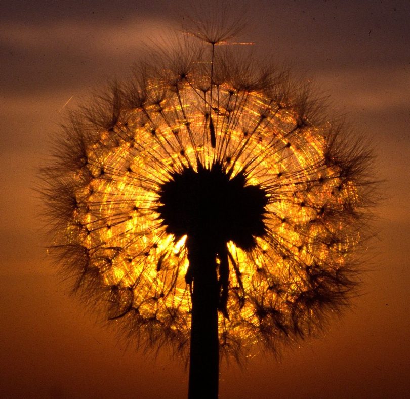centros de reiki en barcelona