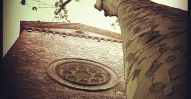 Fotografía por Digerible vía VisualHunt