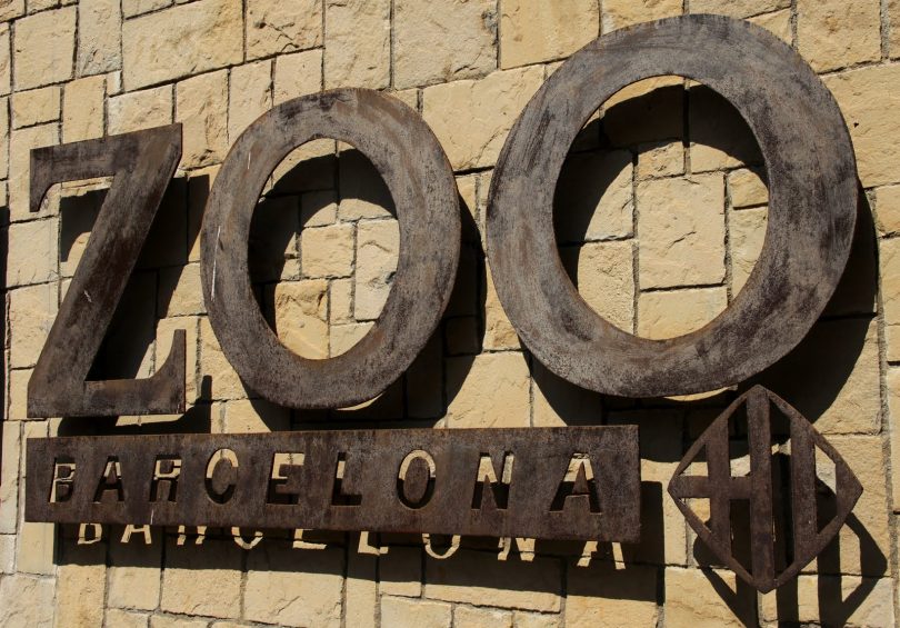 Prévoir une visite au zoo de Barcelone