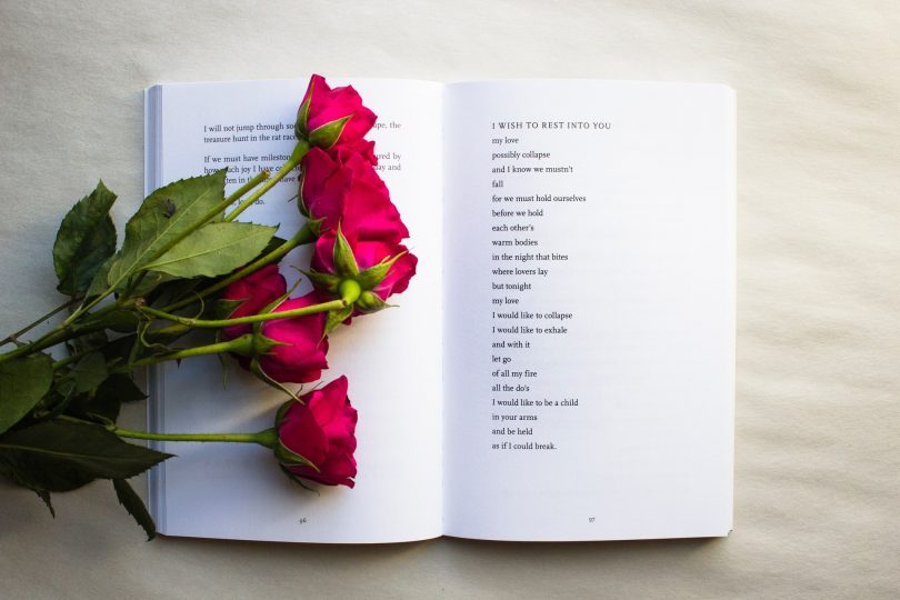 roses sur un livre