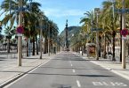 rue vide avec palmiers