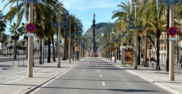 rue vide avec palmiers