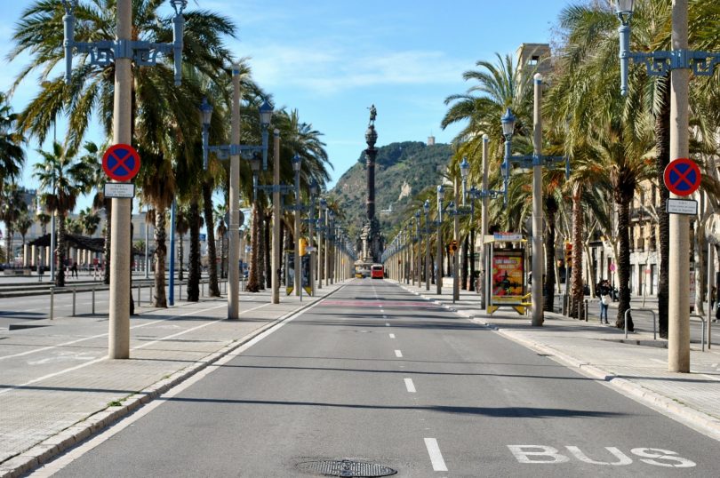 rue vide avec palmiers