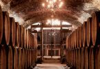 Dégustation et tours de vins et cava en Barcelone