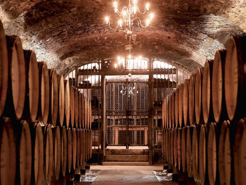 Dégustation et tours de vins et cava en Barcelone