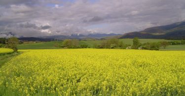 La Cerdanya