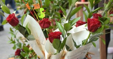 roses de sant jordi