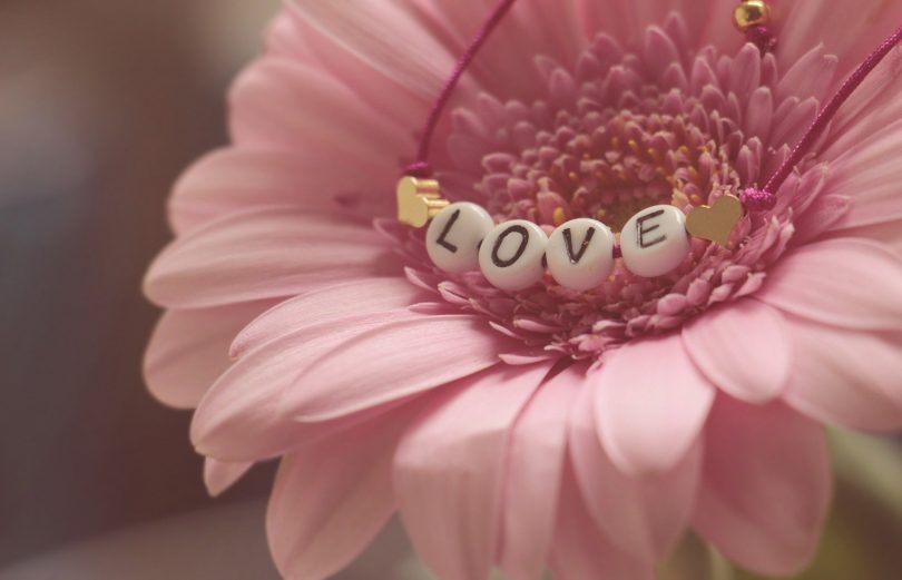 fleur rose avec love écrit dessus