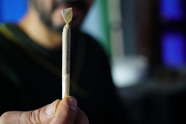 joint de cannabis