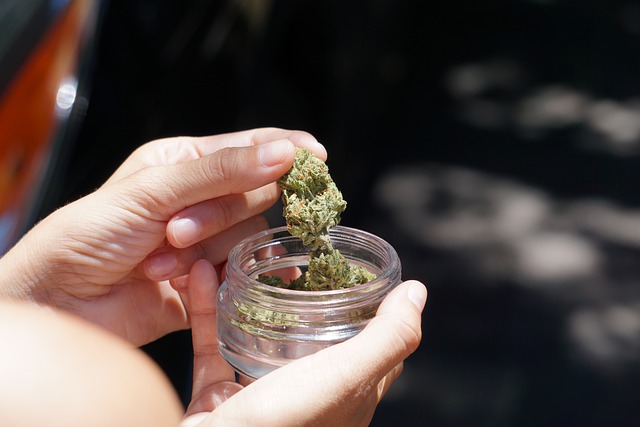 tête de cannabis