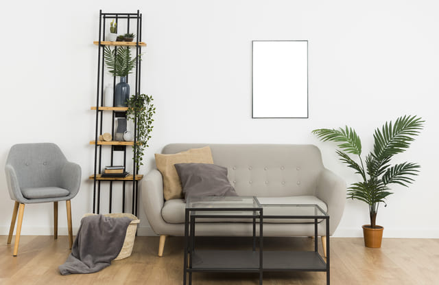 salon d'appartement avec plante