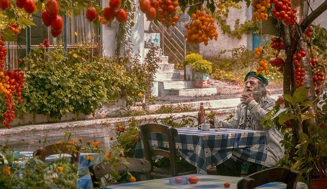 tomatoes in mediterranean