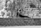 Yoga Classes in English Barcelona