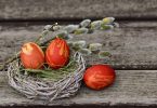 easter eggs in nest