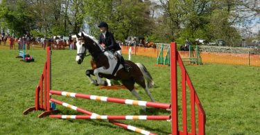 International Official Jumping Competition in Barcelona