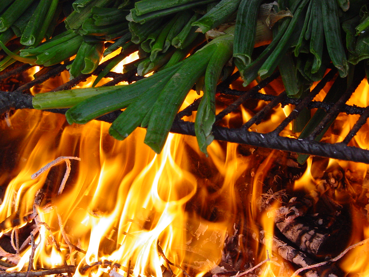 Catalan traditions: the Calçots and la Calçotada