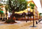 Poblenou District