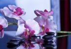 Beauty guide: Wellness and beauty salons in Barcelona