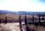 Torres Priorat Winery