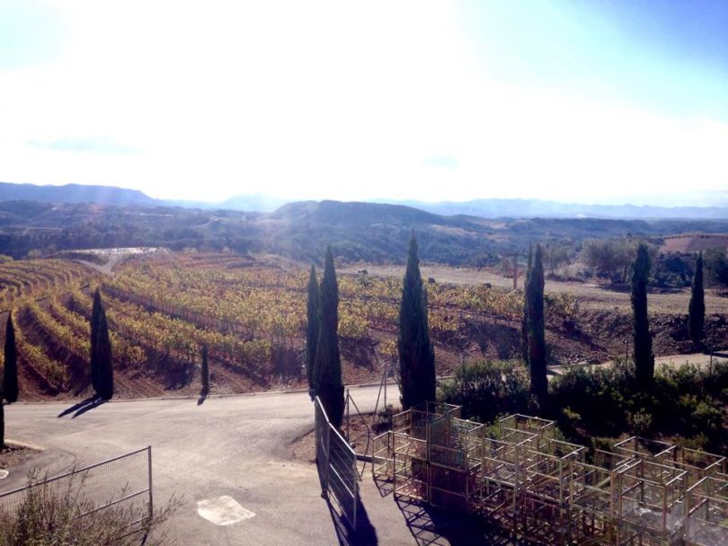 Torres Priorat Winery
