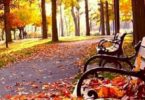 Things to do in autumn in Barcelona