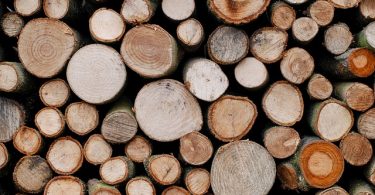 wood logs