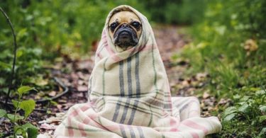 Cuddle up with a cozy blanket