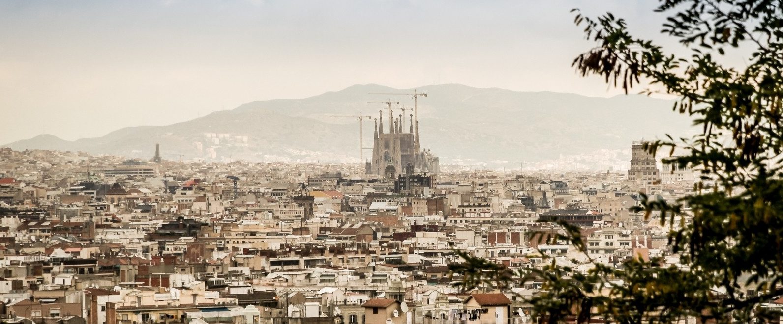 barcelona-panorama