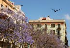 Alquiler de piso en Barcelona
