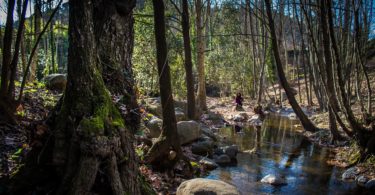 river in mountains of catalonia