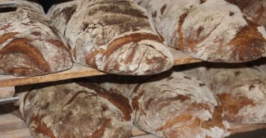 rustic breads