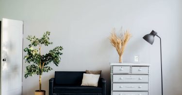 wall with furniture and plant