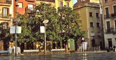 Plazas de Gràcia