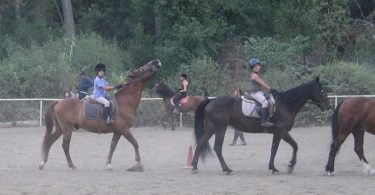 experiencias originales