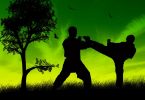 karate barcelona, comprar material de karate en barcelona