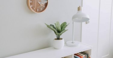 planta y lampara sobre una estanteria junto a un reloj de pared