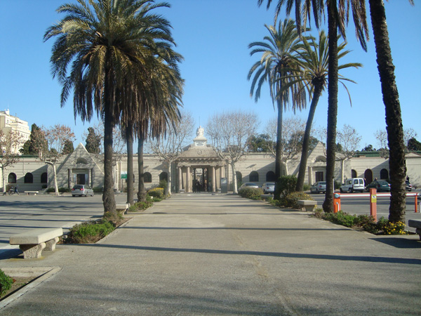 DSC01651