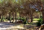 Alquiler de piso en Barcelona