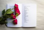 roses sur un livre