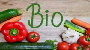 bio 2